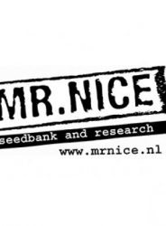Mr. Nice Seeds Medicine Man 18ks