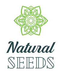 Natural Seeds Haze Auto 